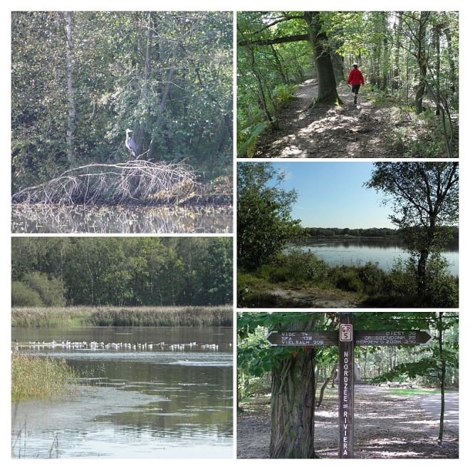 2011-09-24 -- Bokrijk collage
