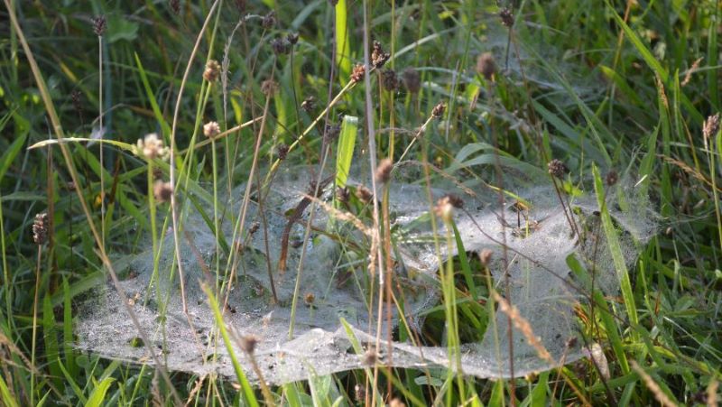 De eerste dagen van&nbsp;2022